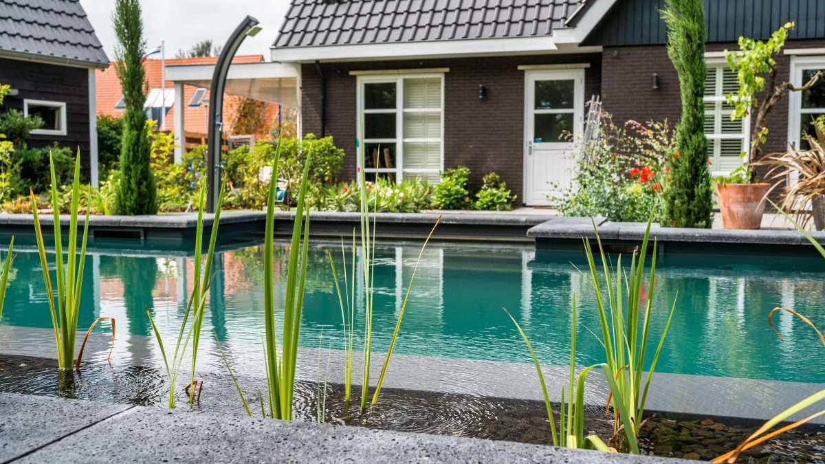 Dreampool Hybride met plantenfilter aan de lange kant