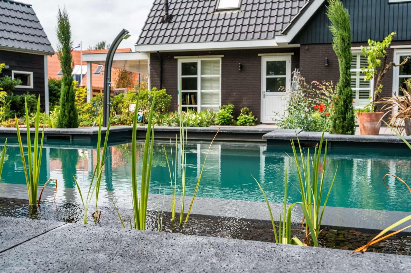 Dreampool67 Dreampool Hybride met plantenfilter aan de lange kant