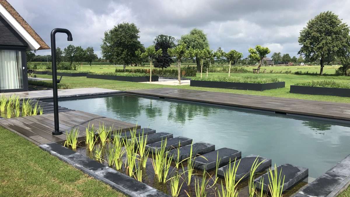 Hybridebad met plantenfilter
