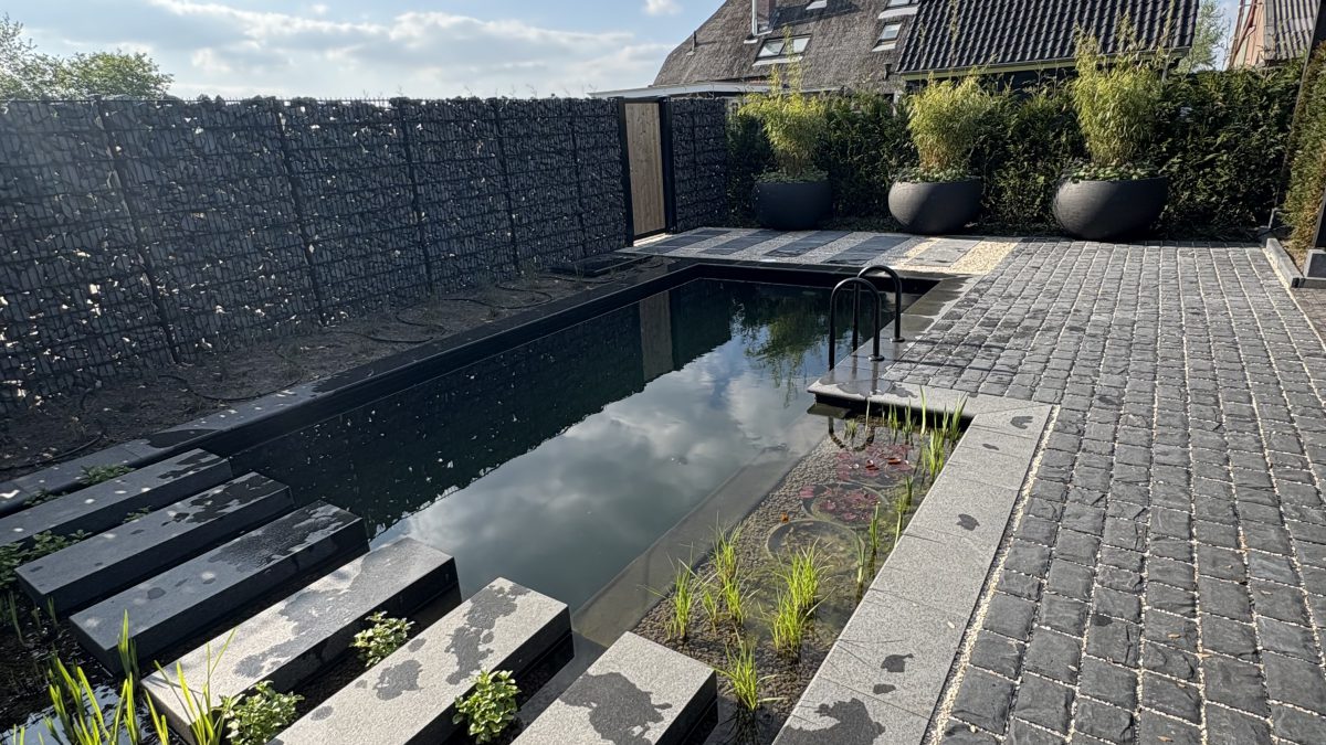 Dreampool zwemvijver