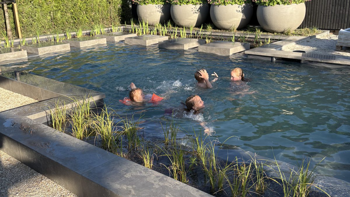 Dreampool hybride zwembad