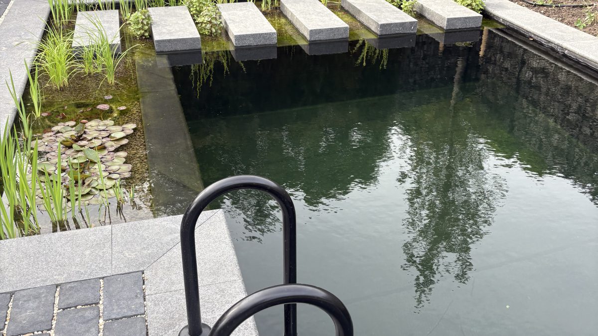 Dreampool zwemvijver