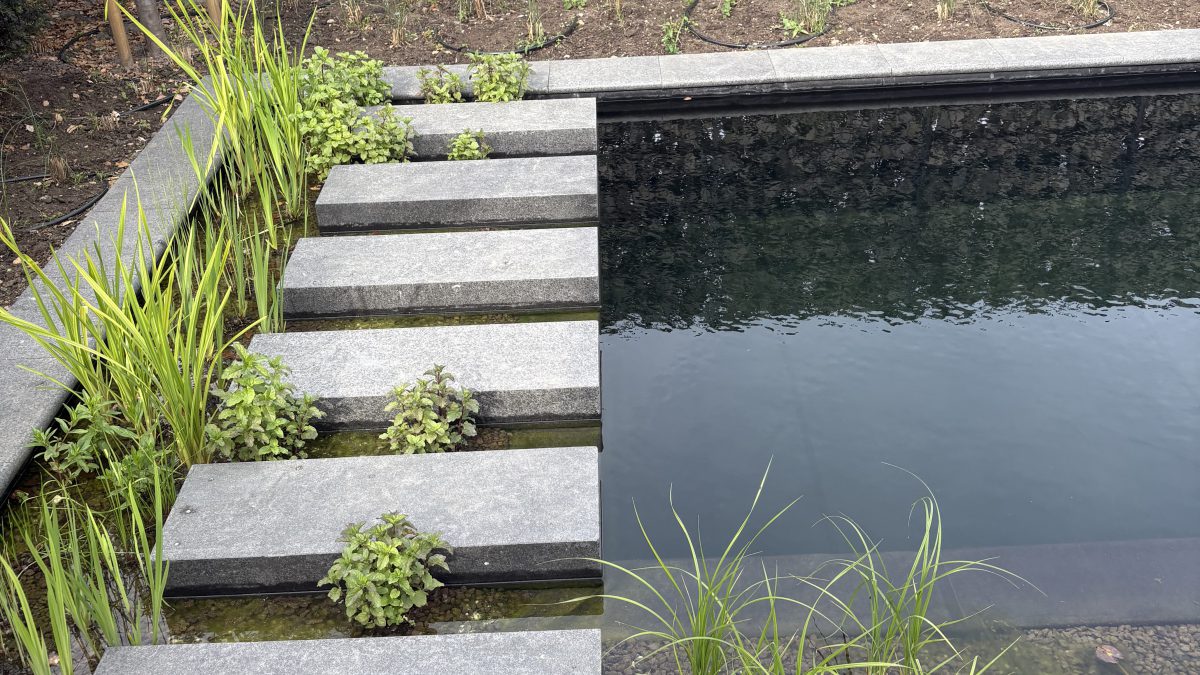 Dreampool zwemvijver