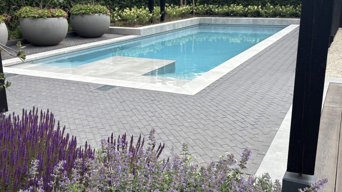 Showroom Dreampool