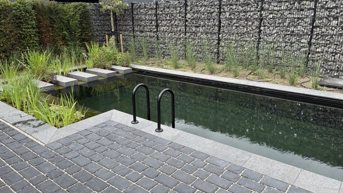 Showroom Dreampool