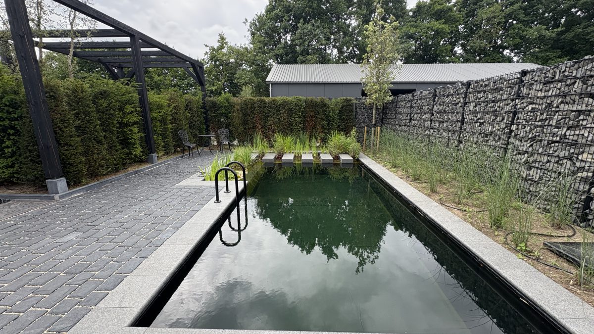 Showroom Dreampool