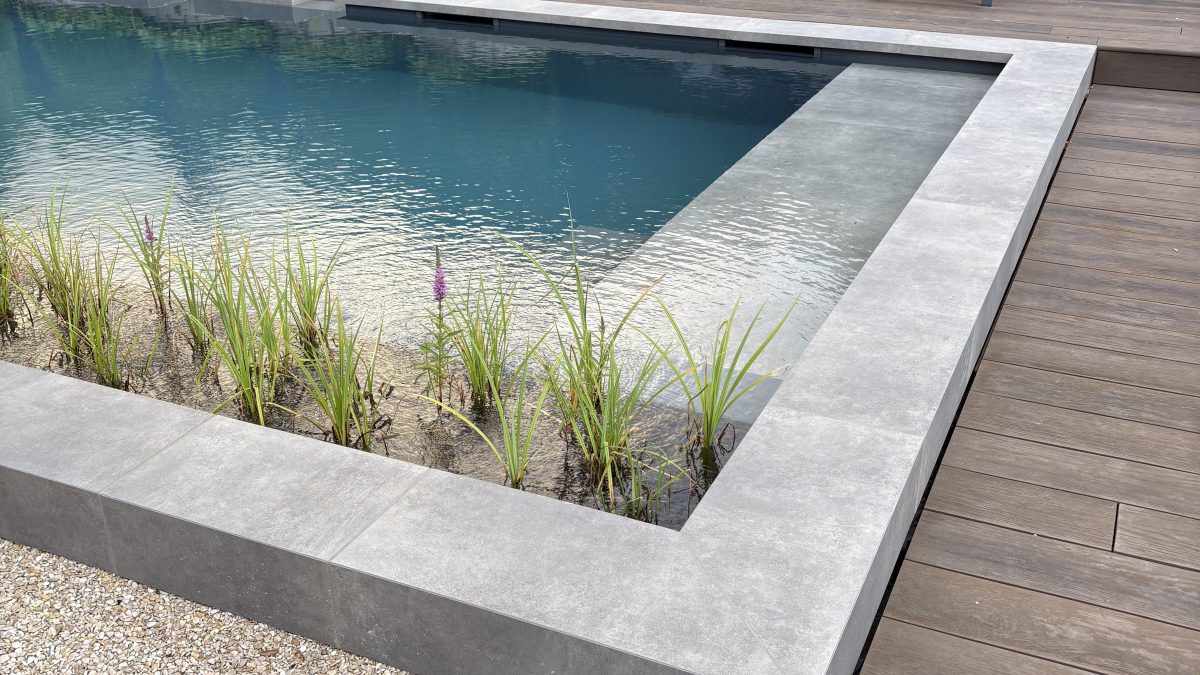 Showroom Dreampool