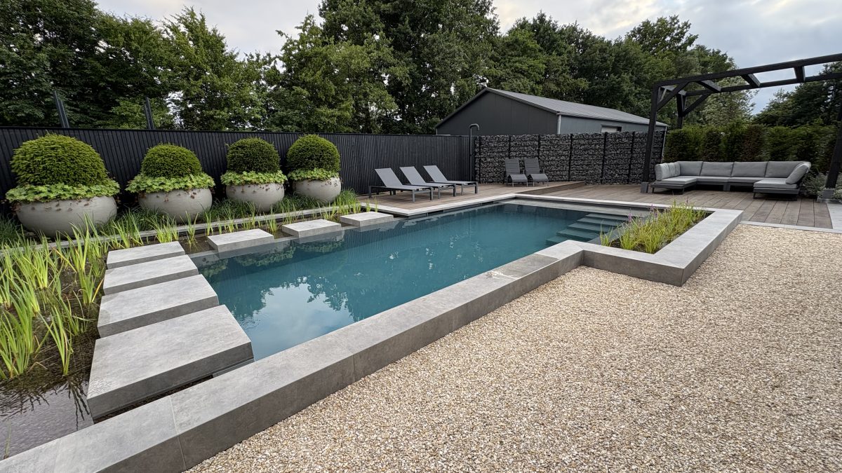 Showroom Dreampool