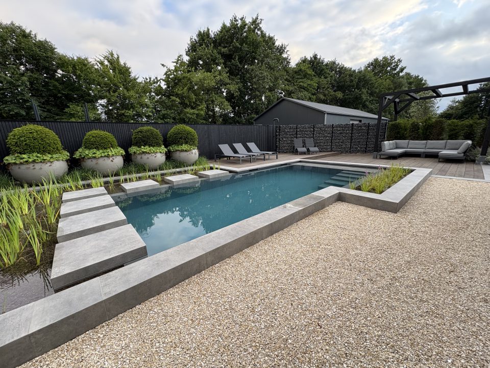Showroom Dreampool