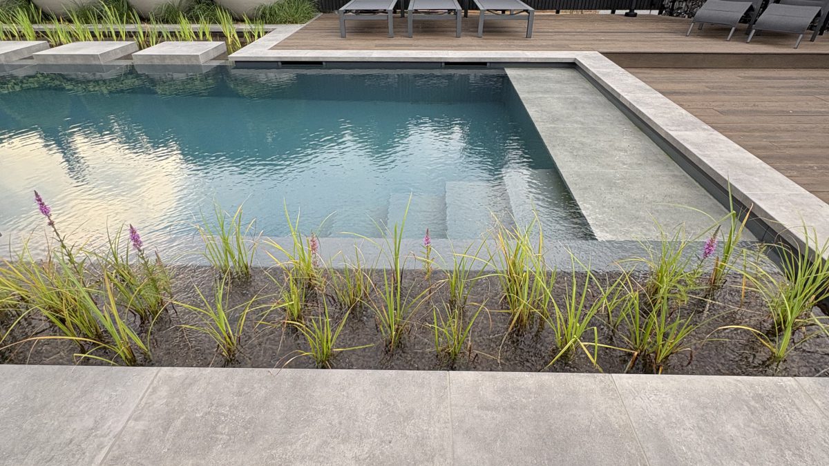 Showroom Dreampool