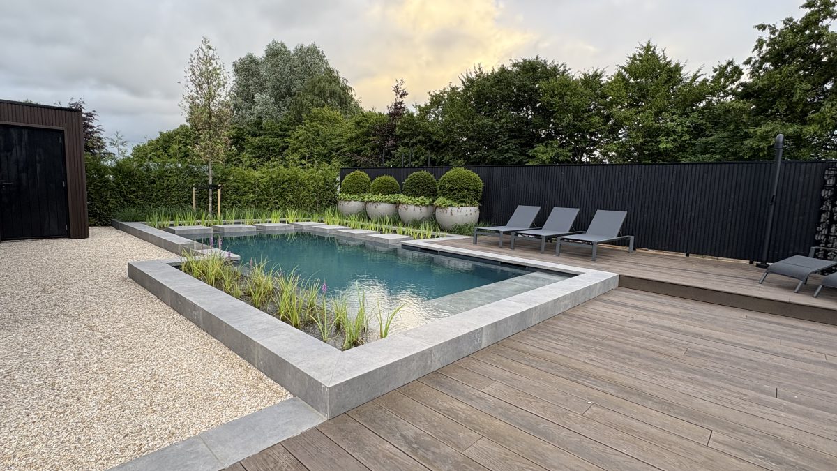 Showroom Dreampool