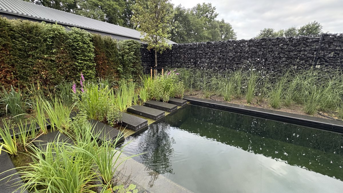 Showroom Dreampool