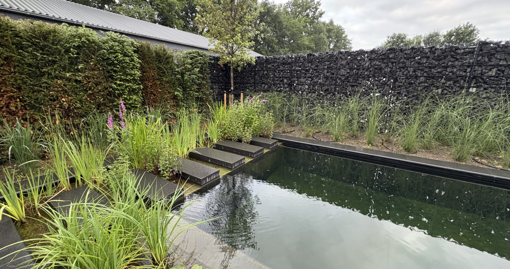 Showroom Dreampool