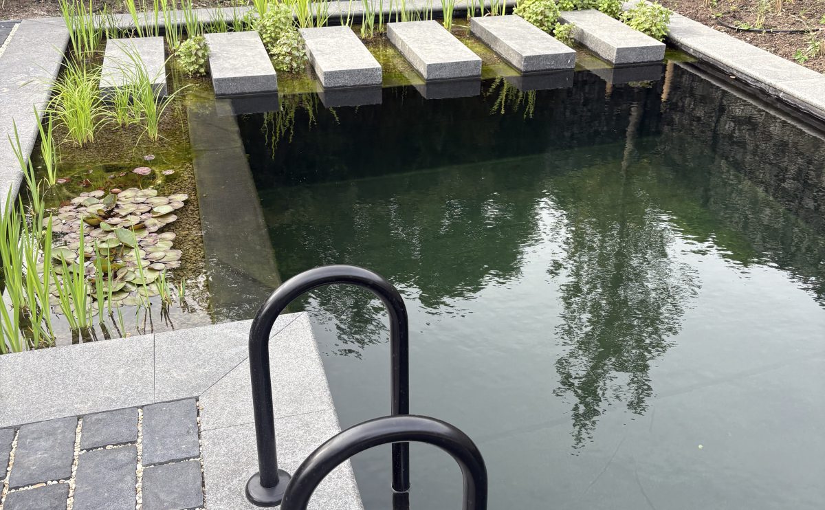 Dreampool zwemvijver